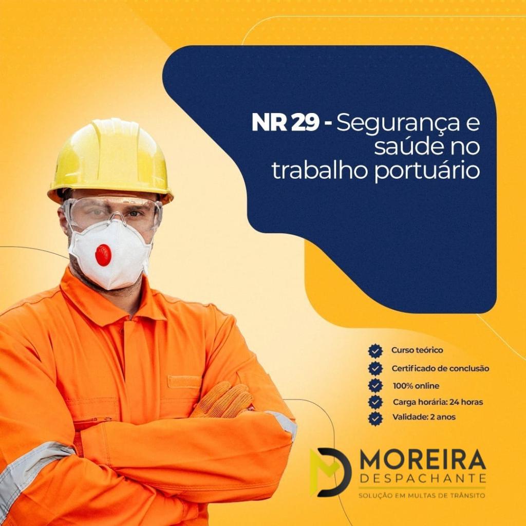 Curso Online Nr 29 - Segurança e Saúde no Trabalho Portuário